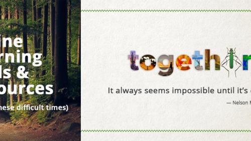 banner_options_2.jpg Together